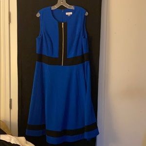 Never worn Calvin Klein size 16W dress